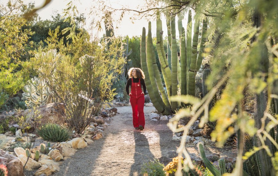 Tucson Botanical Gardens, United States